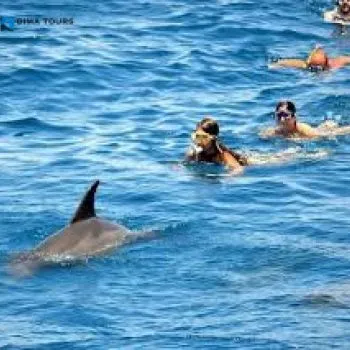 Dolphin House Snorkeling Trip – Hurghada